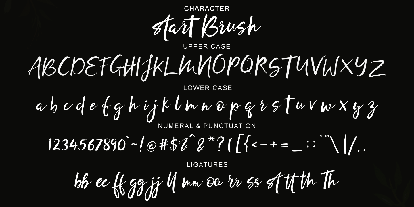 Beispiel einer Start Brush-Schriftart #3